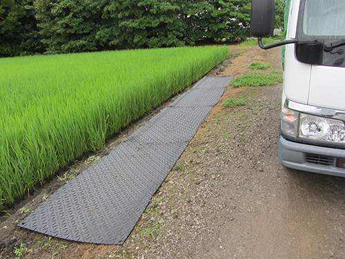 らくらくばん・稲の側道養生