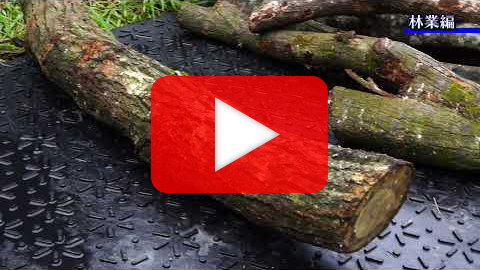 林業分野での使用事例動画